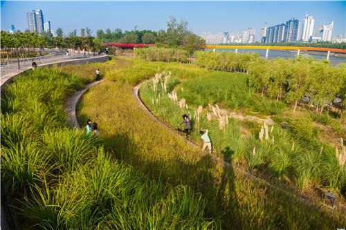 中國“城市海綿”—— 金華燕尾洲獲2015世界最佳景觀獎